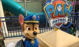 Paw Patrol: La serie animada que es furor en Chile