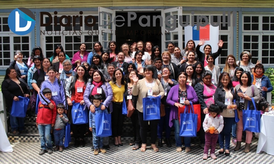 90 familias de Panguipulli fueron apoyadas por el FOSIS