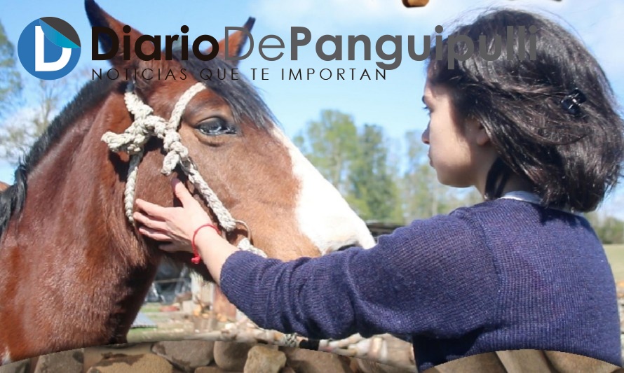 Estrenaron cortometraje realizado por niñas y niños en Panguipulli