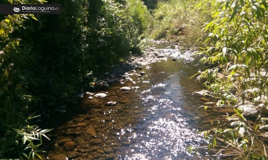 Municipio de Los Lagos se hará parte de querella por contaminación de agua en sector Las Juntas