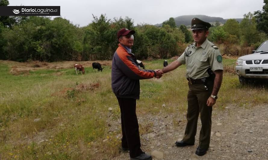 Carabineros de Los Lagos entregó 5 vacunos que habían sido robados a su propietario