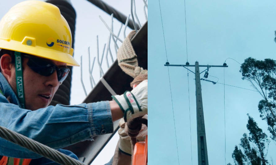 Cooperativa Eléctrica reparó baja de voltaje en sectores rurales de Máfil y Panguipulli