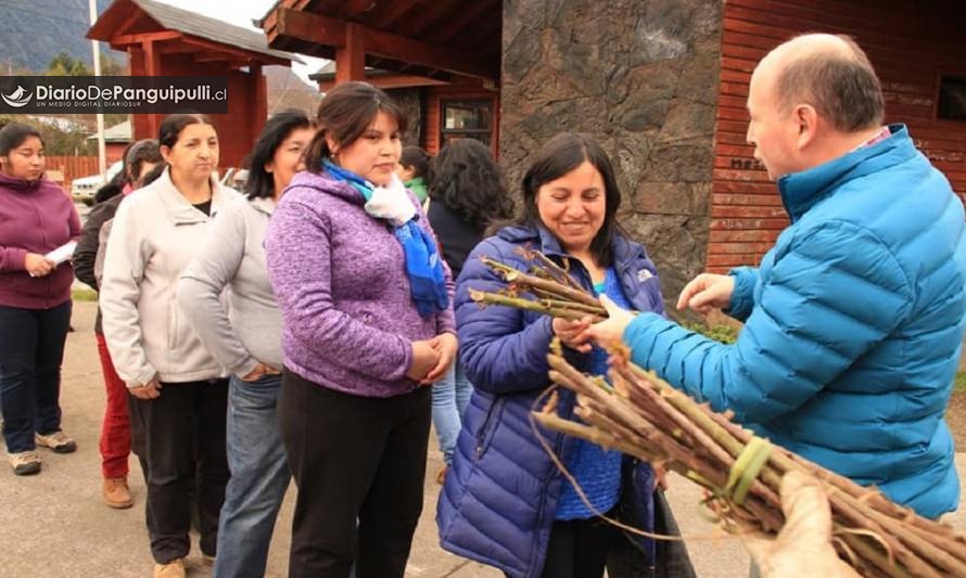 Municipalidad de Panguipulli busca revivir la Ciudad de las Rosas