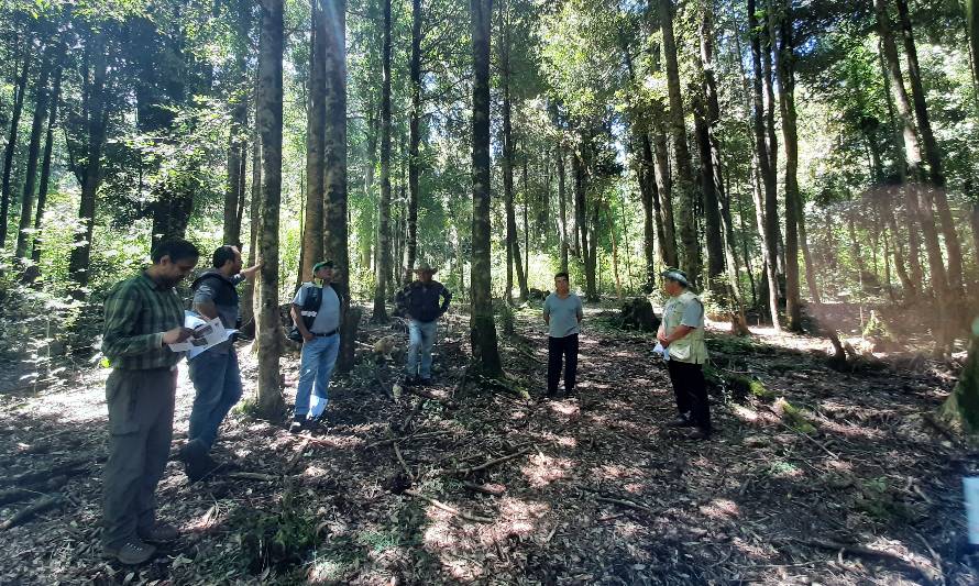 CONAF y propietarios de Panguipulli comparten experiencias bonificadas con la Ley de Bosque Nativo