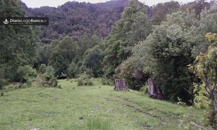 Apareció hombre que estuvo extraviado dos noches en faldeos del cordón Caulle