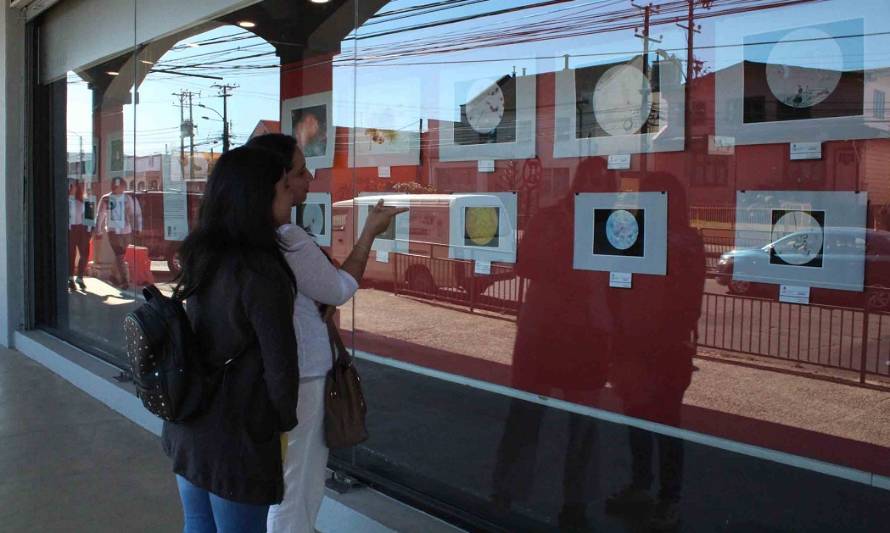 UST invita a participar de su IV Concurso de Fotografía “Microscópica”