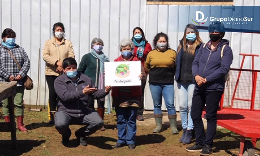 Agricultoras de Panguipulli aumentaron su producción gracias a programas de Indap