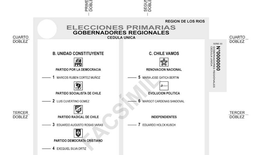 ¿Qué se vota en las elecciones primarias de este domingo?