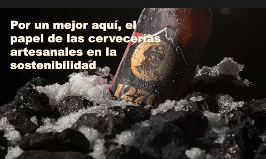 Los desafíos de la cervecería artesanal para tener un desarrollo sustentable