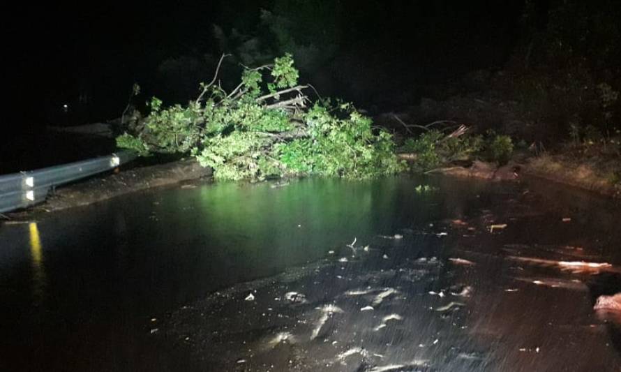 Derrumbe en sector Linoico en Panguipulli provocó daños en las red de distribución eléctrica