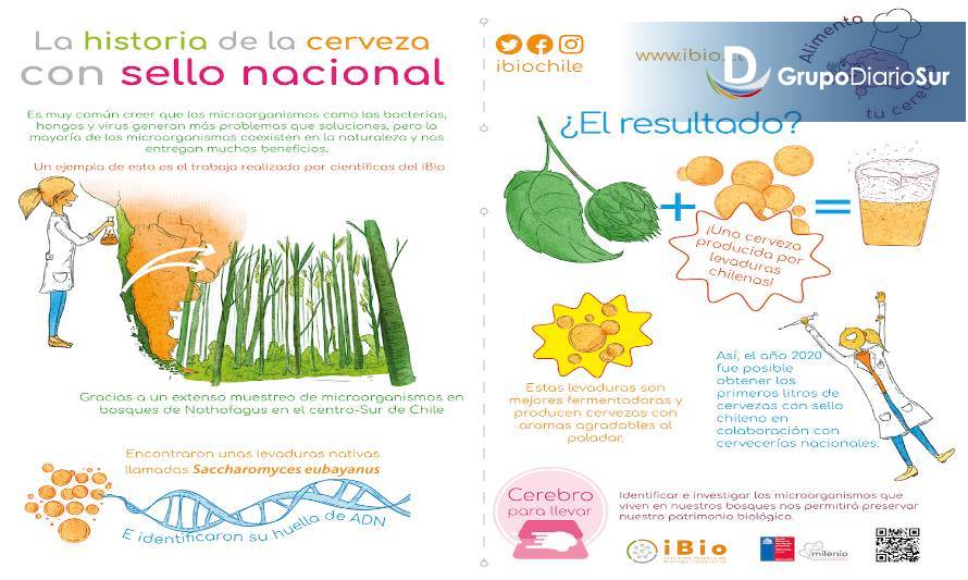 Proyecto Alimenta tu cerebro del Instituto Milenio de Biología Integrativa (iBio) entregó material de divulgación a distintos restaurantes del país
