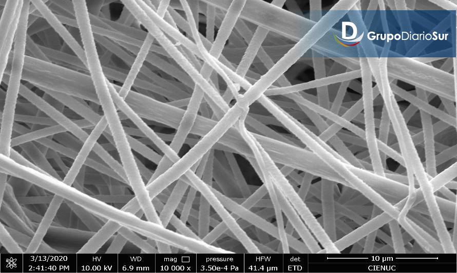 Académica de la Universidad de Santiago de Chile trabaja en el desarrollo de materiales de envasado de alimentos funcionales y biodegradables