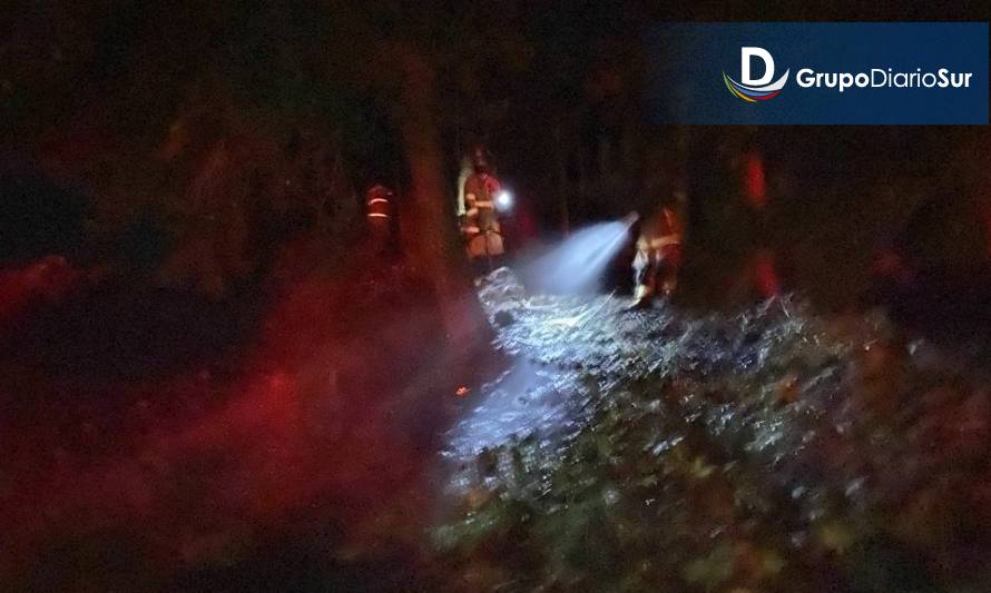 Incendio de pastizales movilizó a Bomberos en Futrono