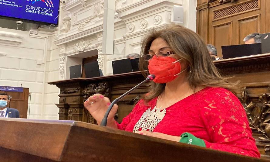 Ramona Reyes por franja electoral de Ena von Baer: "son mentiras inaceptables sobre la Convención Constitucional"
