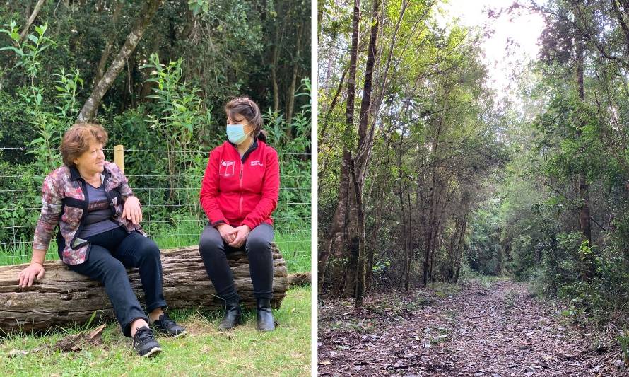 “Debemos educarnos unos a otros”: Laura Santana, una vida dedicada a la conservación del bosque nativo 