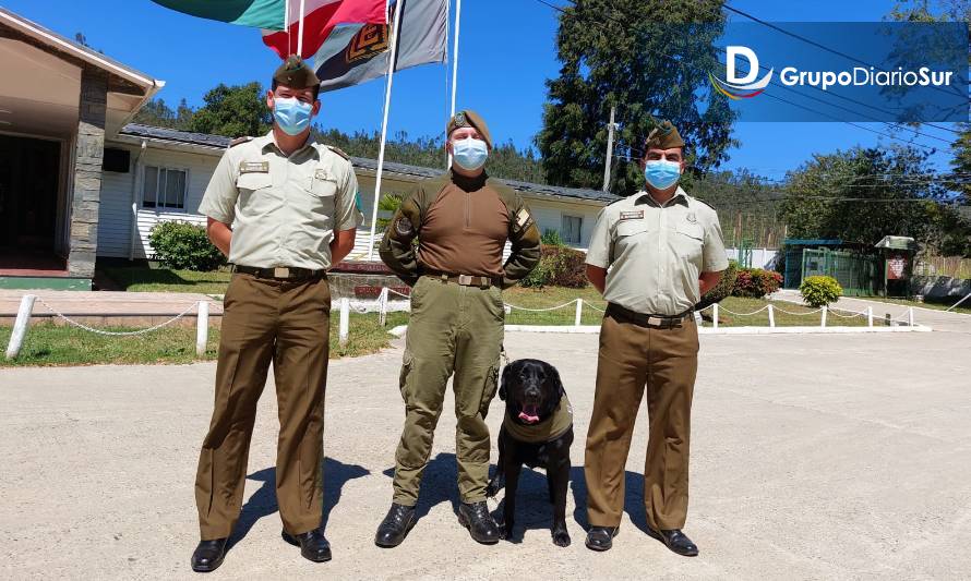 Esfocar Valdivia invita a ver al Orfeón y la III Corrida Canina