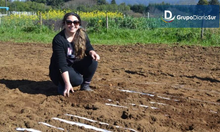 Desafíos para el uso de la biotecnología en el contexto de mejoramiento genético vegetal para la agricultura nacional
