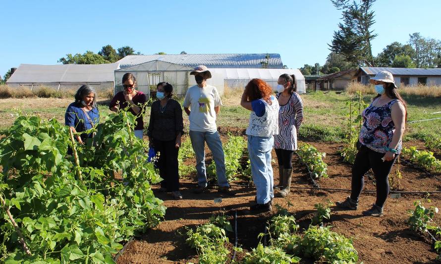 Agricultores(as) visitaron Banco de Germoplasma de producción de semillas de legumbres  