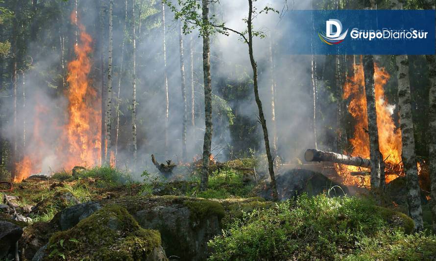 Incendios forestales han aumentado un 19% en Los Ríos