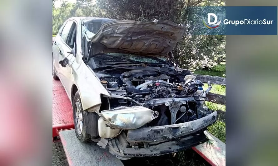 Vacuno suelto en la ruta Panguipulli-Los Lagos provocó accidente vehicular