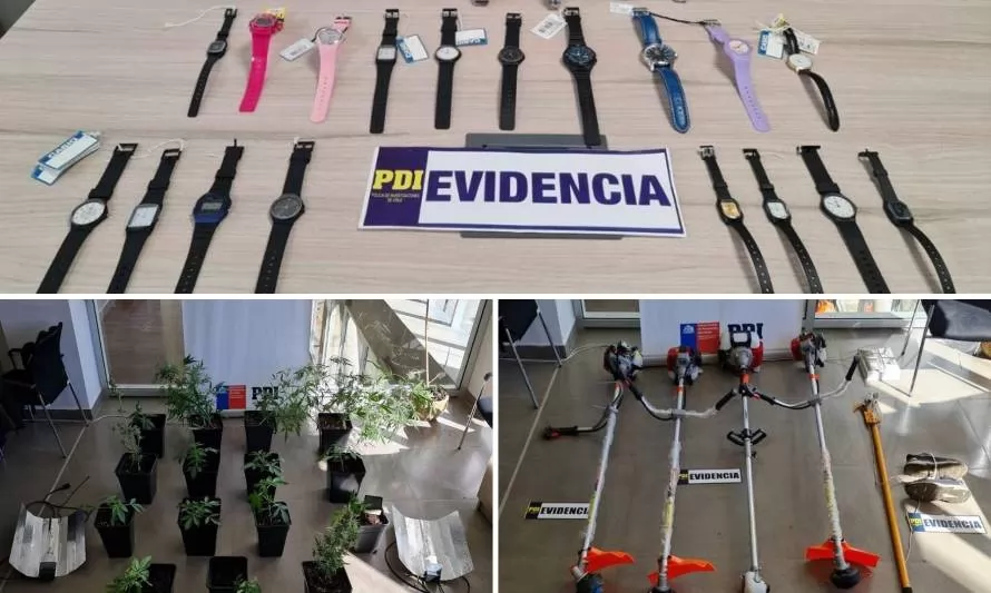 Detienen a implicados a robo a joyería en Valdivia