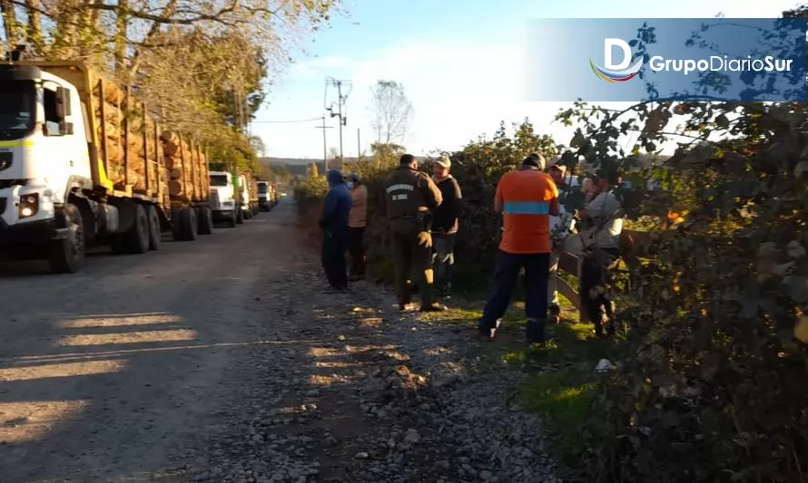 Panguipulli: Carabineros detuvo a 10 personas por hurto