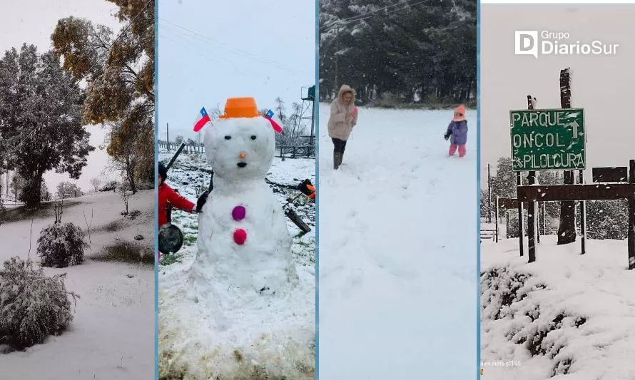 Mira las postales que dejó la sorpresiva nevazón en Futrono, Paillaco y otras comunas de la región

