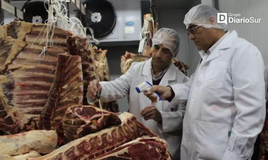 Más de mil kilos de carne fueron decomisados en Fiestas Patrias