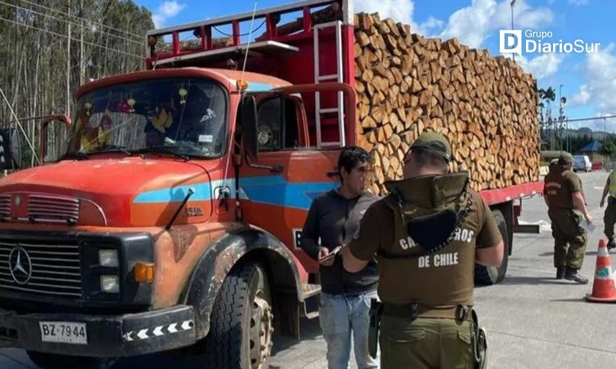 Detienen a chofer de camión en el peaje Lanco por presunta sustracción de madera 