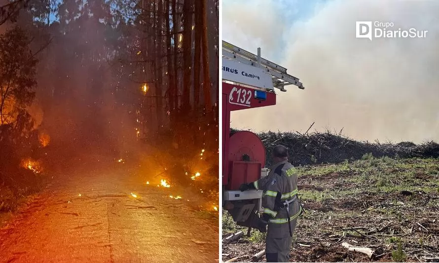 Balance incendio forestal: gestionan vertederos alternativos a Morrompulli