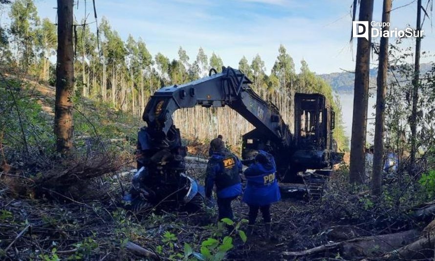 Gobierno se querella contra autores de ataque incendiario de Dollinco