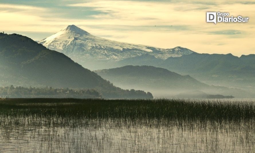 Valoran sentencias judiciales que refuerzan protección de humedales rurales de Panguipulli