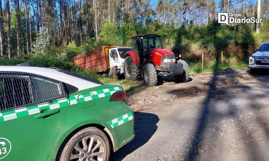 Sorprenden a cuatro sujetos robando madera en predio forestal de Panguipulli