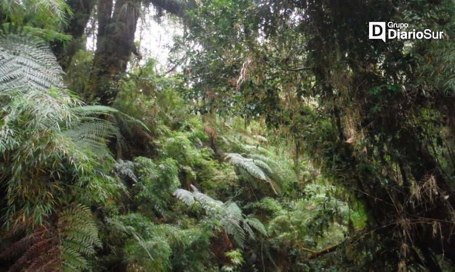 Presentan informe con medidas urgentes para protección de la naturaleza