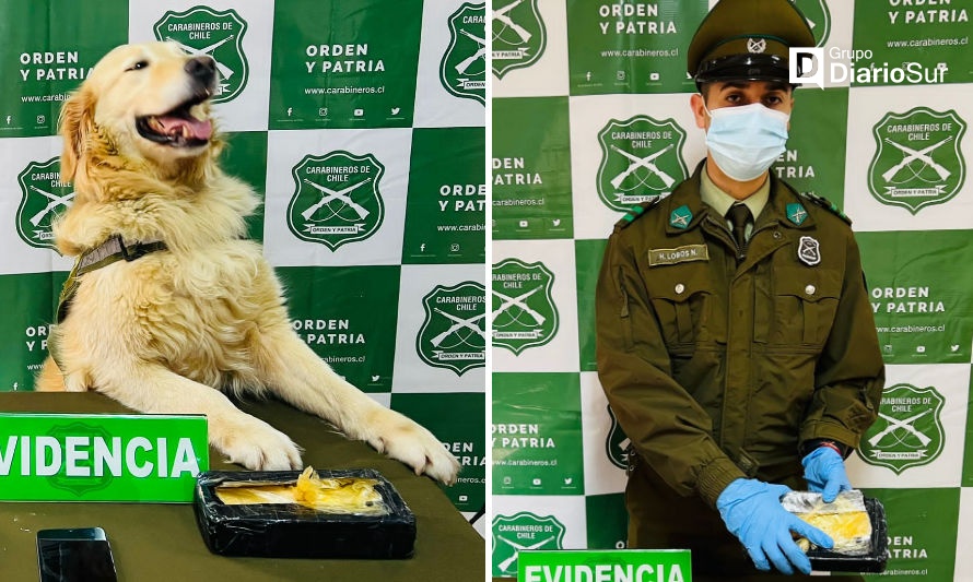 Carabineros del OS7 una vez más decomisaron cocaína