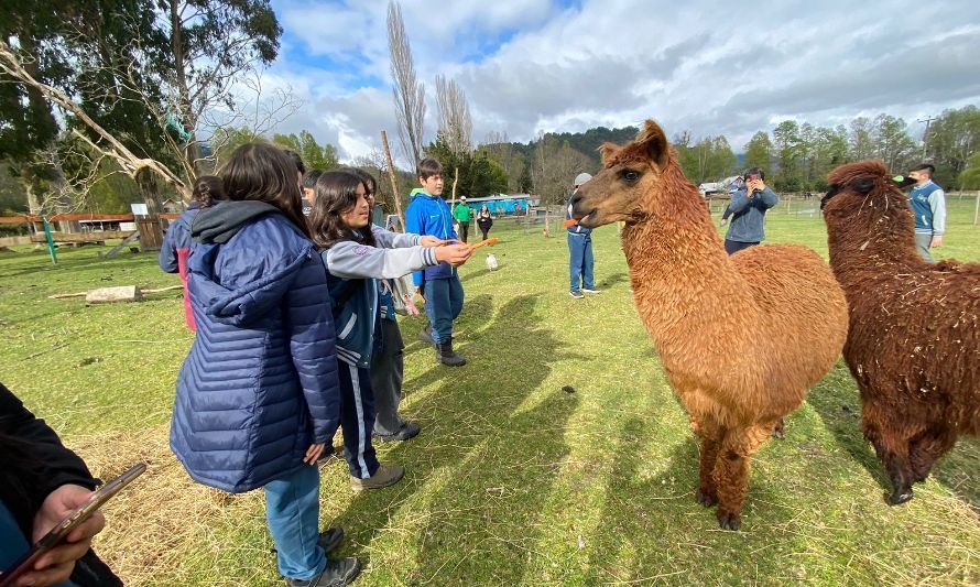 Parque El Encanto Familiar de Lago Ranco instaló paneles solares y construye sala educativa