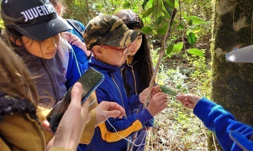 Niños de Panguipulli aprenden sobre el cuidado del bosque y las aguas 