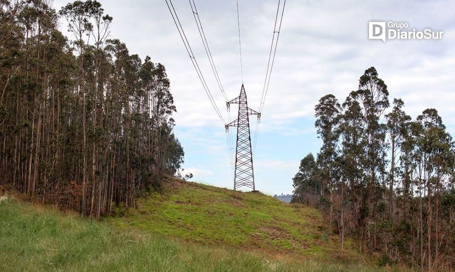 Tendido eléctrico habría causado muerte de hombre en Panguipulli