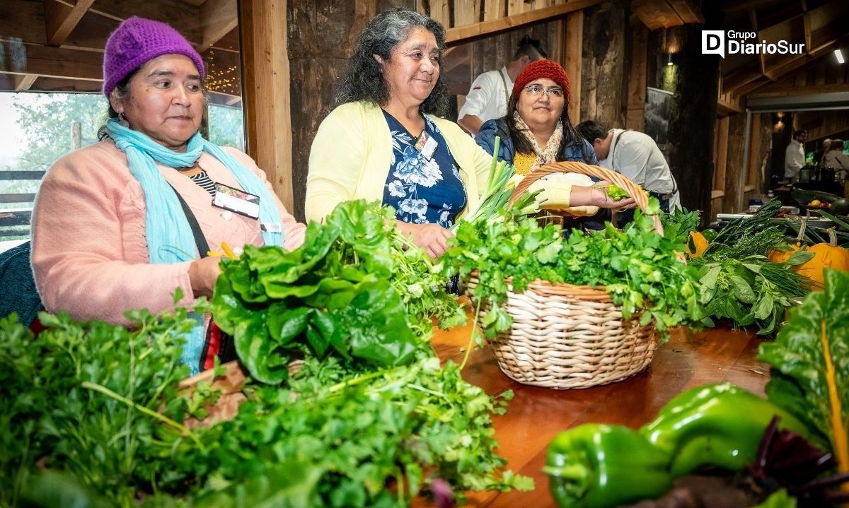 Feria Campesina 2024 reunirá a emprendedores en el Centro de Ferias de Panguipulli