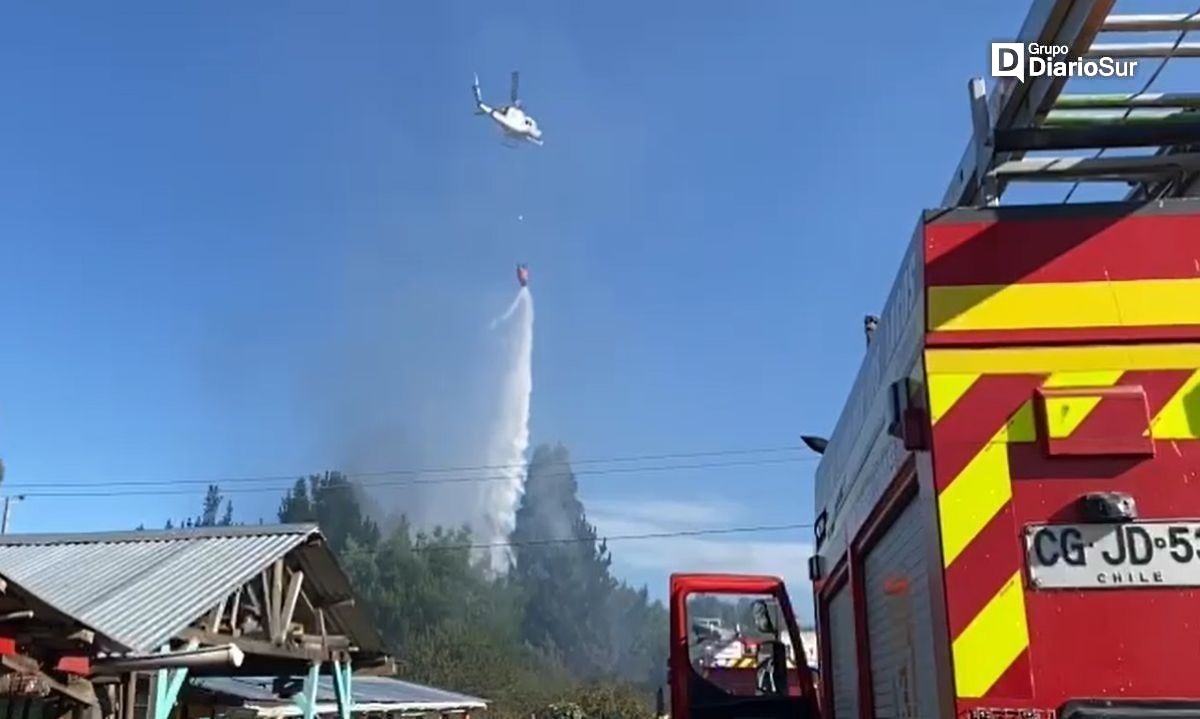 Bomberos y Conaf combaten incendio de pastizales en sector rural de Los Lagos