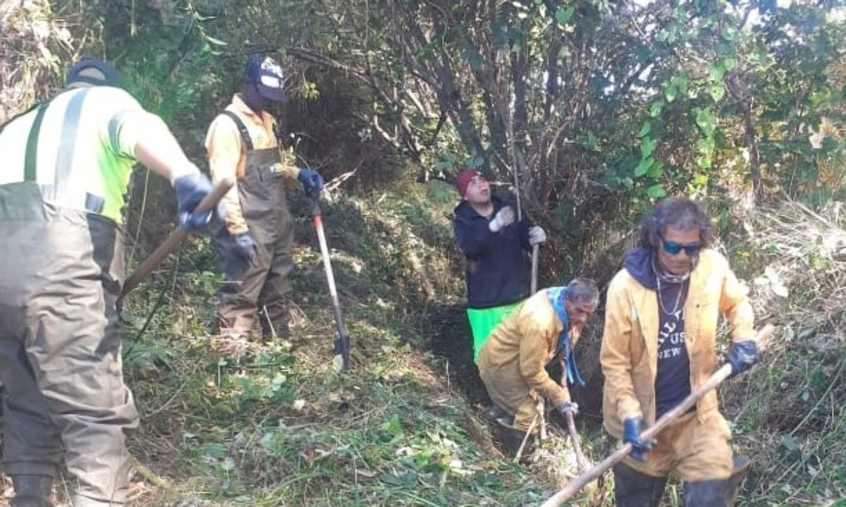 Intensifican tareas de limpieza para evacuar aguas lluvia en Valdivia