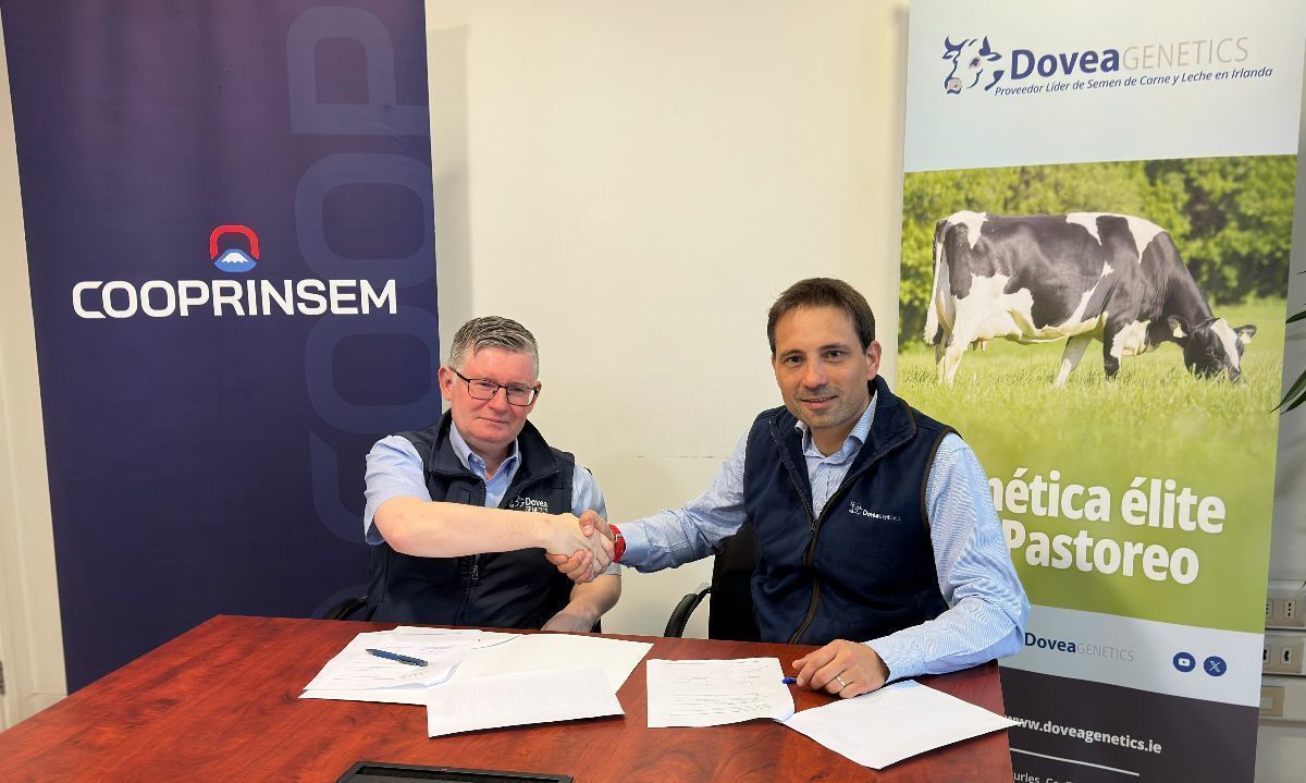 Cooprinsem y Dovea Genetics unen fuerzas para la exportación de genética bovina de excelencia