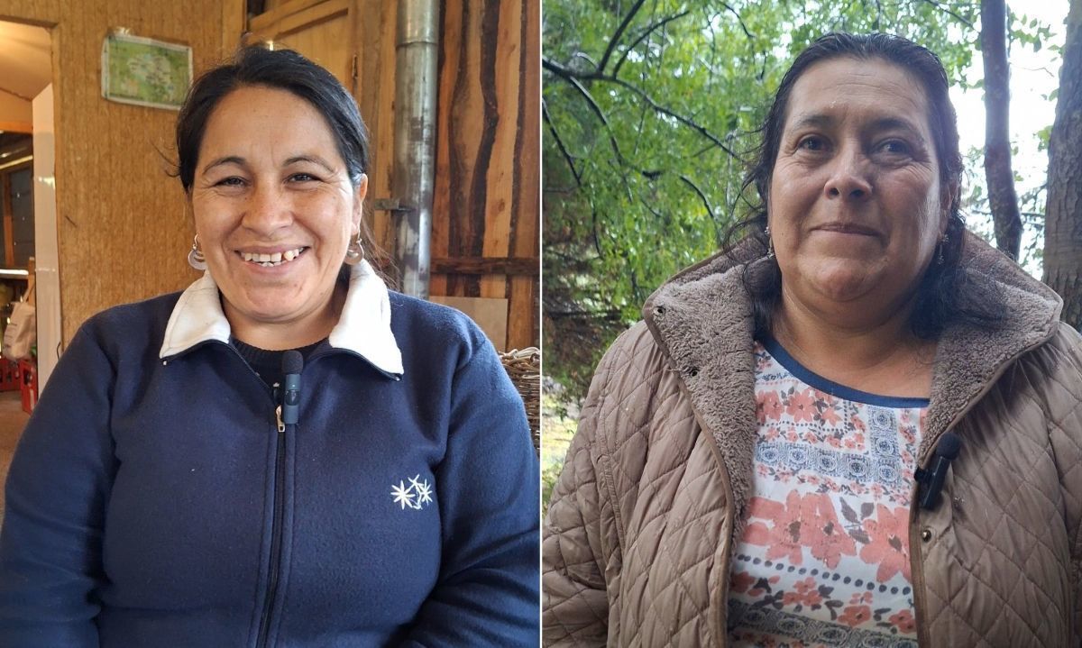Emprendedoras de Coñaripe fortalecen sus negocios con programa de Fosis Los Ríos