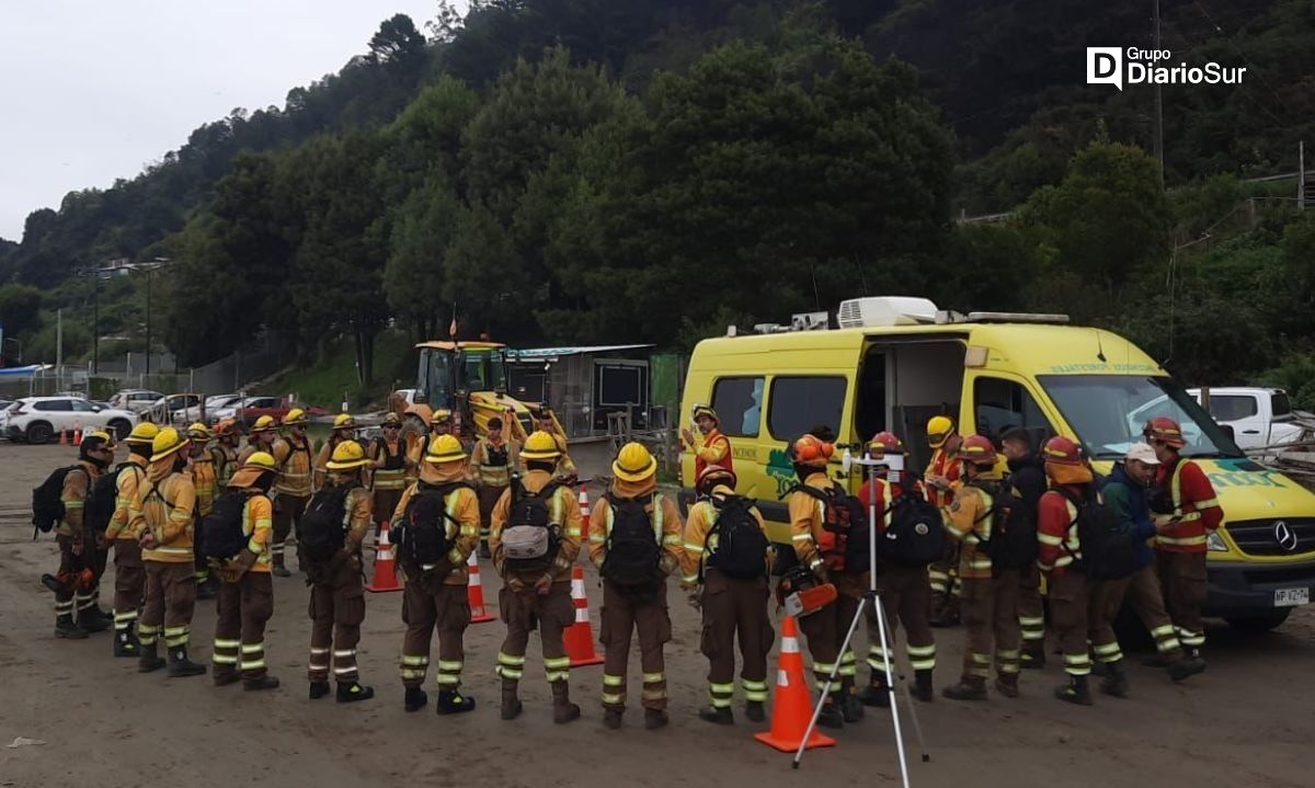 Director regional de Conaf: “El incendio de Niebla aún está en combate”