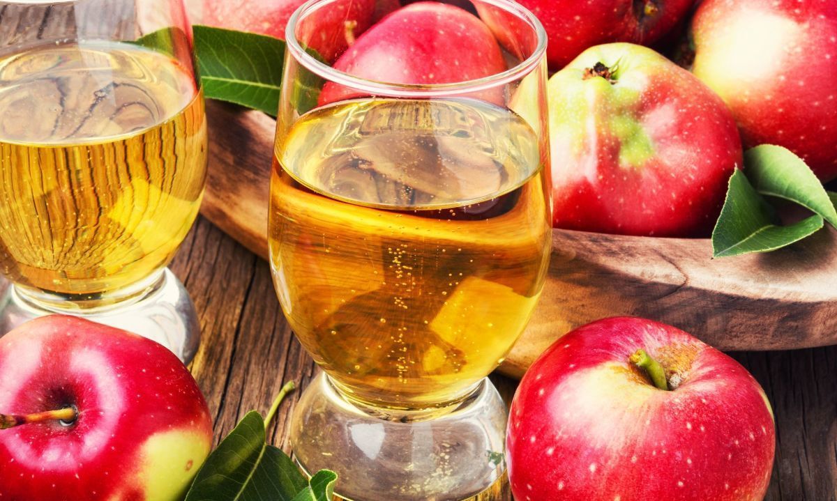 Gobierno Regional asignó recursos para la Fiesta de la Manzana y Sidra Los Ríos en Valdivia