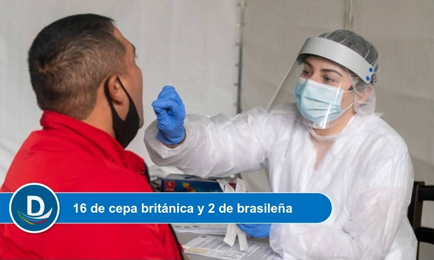 Hubo variante brasileña en Lago Ranco: Salud asume 18 casos en el resto de la región