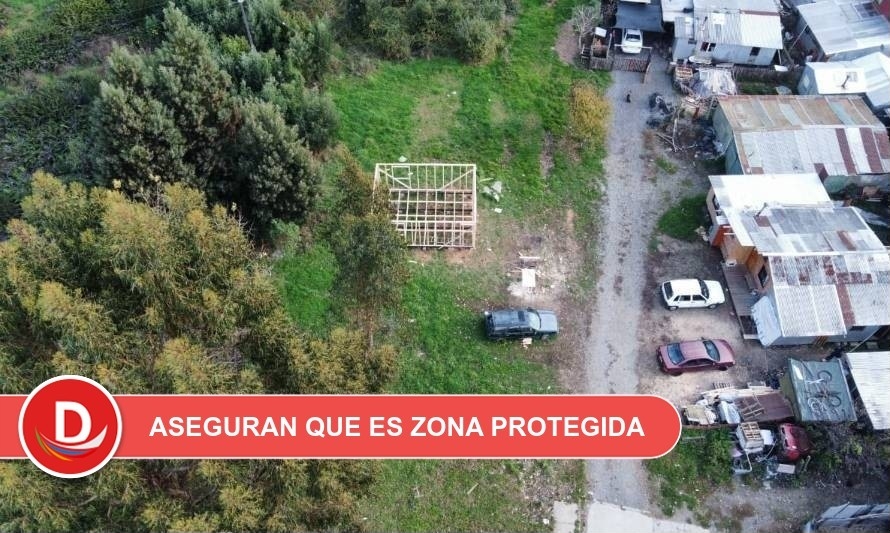 Edificación en entorno del humedal Collilelfu desata controversia en Los Lagos: vecino mostró permiso municipal 