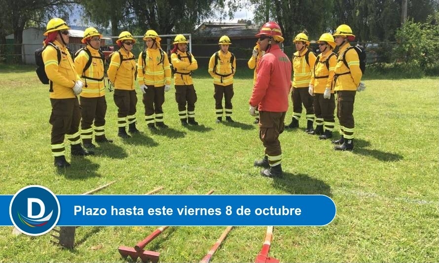 CONAF Los Ríos realiza llamado para sumarse como Brigadista Forestal