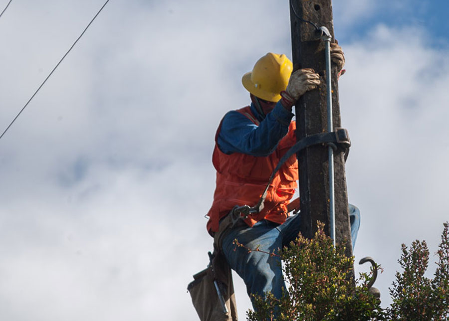 Saesa informa cortes programados de energía eléctrica en Panguipulli